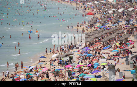 Allgemeine Ansicht über das touristische Strand von El Arenal auf der spanischen Insel Mallorca.