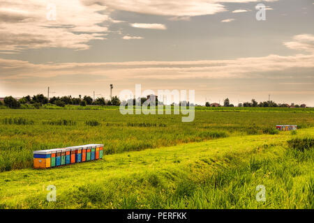 Bunte Bienenstöcke für die Zucht von Bienen in der italienischen Landschaft Stockfoto