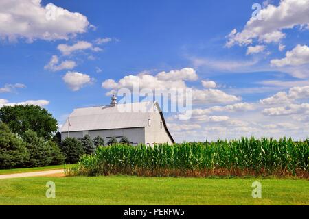 Creston, Illinois, USA.moderner Metallscheune im ländlichen Norden von Illinois, mit einer reifen Maisernte. Stockfoto