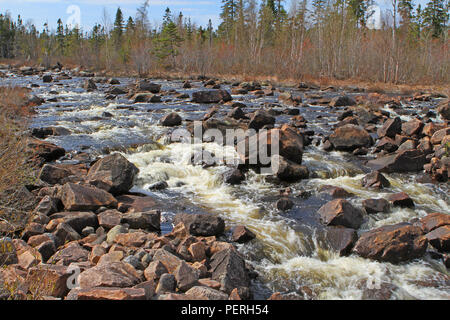 Reisen Neufundland, felsigen Bach entlang der TransCanada Highway in westlichen Neufundland. Stockfoto