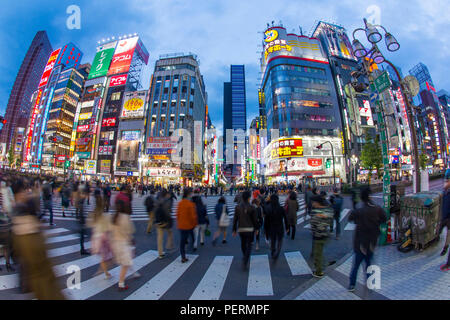 Japan, Tokyo, Shinjuku, Kabukicho Entertainment District leuchtet in der Dämmerung Stockfoto