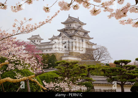 Asien, Japan, Honshu, Kansai Region, Himeji, Himeji Castle, die Kirschblüte (Sakura), Hemeji-jo auch als shirasagi der 'White Egret" bekannt Stockfoto