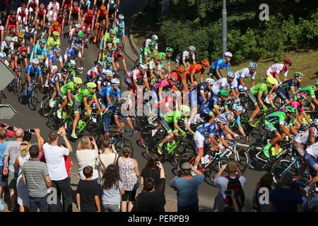 BYTOM, Polen - 13. JULI 2016: Professionelle Radfahrer Fahrt im Peloton der Tour De Pologne Radrennen in Polen. TdP ist Teil der renommierten UCI World T Stockfoto
