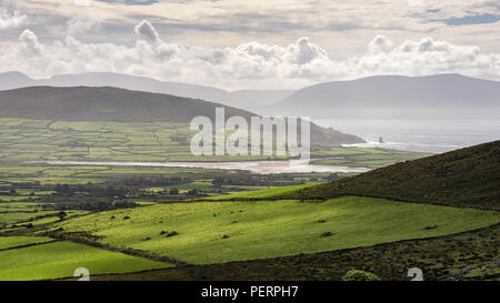 Landwirtschaftliche Felder und Hügel an der Küste der Halbinsel Dingle, mit den Bergen der Iveragh Halbinsel hinter, wie von der Con gesehen Stockfoto