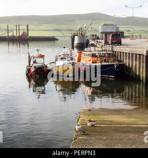 Boote am Pier im Hafen von Dingle in Irland County Kerry. Stockfoto