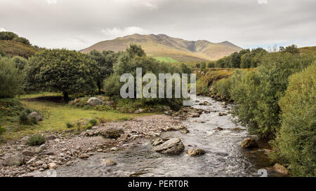 Ein Rocky Mountain River fließt von den Carrauntoohil, Irlands höchstem Berg, und der macgillycuddy Reeks Bereich in der Grafschaft Kerry. Stockfoto