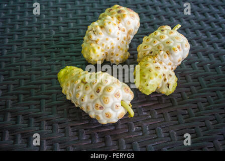 Drei frisch gepflückte Frucht Noni (Morinda citrifolia) auf einem Tisch Stockfoto