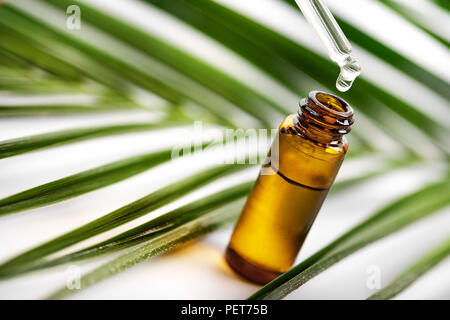 Ätherisches Öl fallen von Glas Dropper. Kopieren Sie Platz Stockfoto