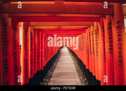 Der fushimi Inari-Pfad in Kyoto. Stockfoto