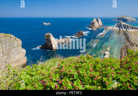 Kantabrien, Landschaft entlang der Küste Costa Quebrada, die gebrochene Küste, spektakuläre parallele Kanten des Flysch Art Rock Formation um Playa de la Arn Stockfoto