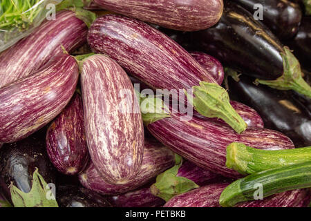 Frische Auberginen auf Verkauf in Borough Markt, Southwark, London, UK Stockfoto