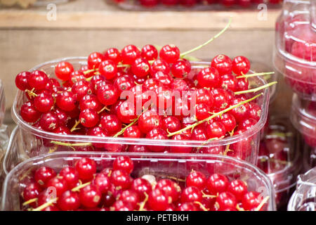 Frische rote Johannisbeeren auf Verkauf in Borough Markt, Southwark, London, UK Stockfoto