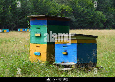 Zwei Holz- Bienenstöcke auf Bienenhaus Stockfoto
