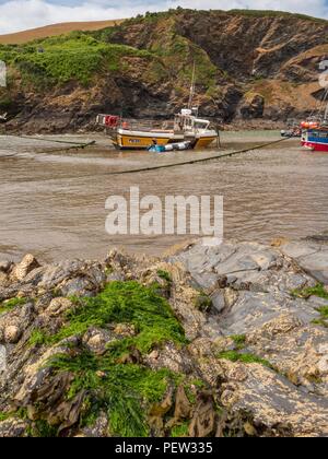 Ein Fischerboot auf dem Sand Strand von Port Isaac in Cornwall, wenn die Flut Gegangen Stockfoto