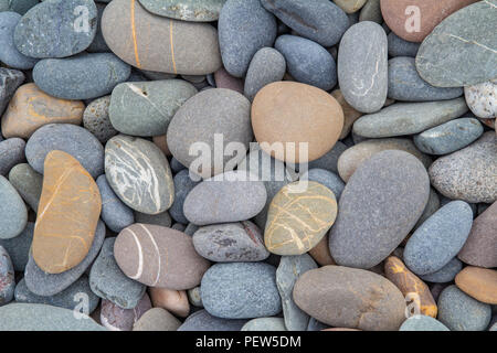 bunte Kieselsteine am Strand Stockfoto