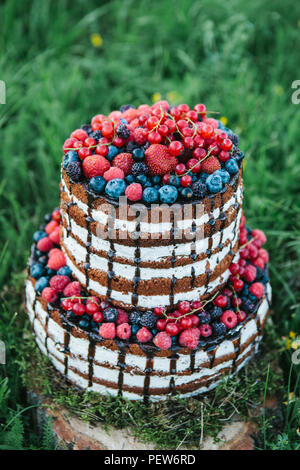 Kuchen oder Süßigkeiten für einen Geburtstag oder einen Urlaub oder für eine Party. Kuchen mit Beeren, Erdbeere, Himbeere, Heidelbeere, Heidelbeere und Weißdorn. Stockfoto