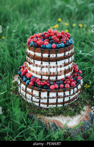 Kuchen oder Süßigkeiten für einen Geburtstag oder einen Urlaub oder für eine Party. Kuchen mit Beeren, Erdbeere, Himbeere, Heidelbeere, Heidelbeere und Weißdorn. Stockfoto