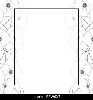 Papaver rhoeas Umrisse Banner Karte Grenze oder Common Poppy, Corn Poppy, Mais Rose, field Poppy, Flandern Mohn oder roter Mohn. auf weißem Hintergrund. Stock Vektor