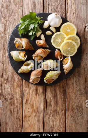 Buccinum undatum, Wellhornschnecken, Seeschnecken mit Knoblauch und Petersilie, Zitrone close-up auf einem Tisch. Vertikal oben Ansicht von oben Stockfoto