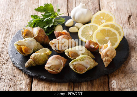 Buccinum undatum, Wellhornschnecken, Seeschnecken mit Knoblauch und Petersilie, Zitrone close-up auf einem Tisch. Horizontale Stockfoto