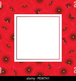 Papaver rhoeas Banner Karte oder Common Poppy, Corn Poppy, Mais Rose, field Poppy, Flandern Mohn oder roter Mohn. Vector Illustration. Stock Vektor