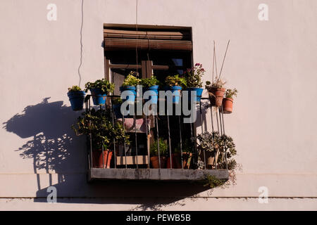 Landschaft Blick auf einen Balkon von Blumen in blau Töpfen dekoriert, mit einer weißen Wand im Hintergrund, in den Straßen von Sevilla, Spanien schoß Stockfoto