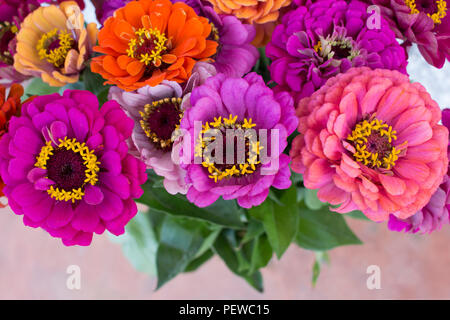 Lebendige Bouquet von zinnia Sommer Blumen Stockfoto