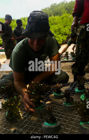 Us Marine Corps 2. Lt. Lukas Parker, ein platoon Commander mit Golf Company, 2nd Battalion, 4th Marine Regiment, misst Coral zu Zement erzeugen ein Korallenriff bei der Landung Kraft Zusammenarbeit flott Bereitschaft und Weiterbildung (LF KARAT) 2015 Bama Strand, Ost Java, Indonesien, Aug 7, 2015. LF CARAT ist dazu gedacht, zu stärken, die die Interoperabilität der amphibischen Planung und Betrieb und die zentralen Fähigkeiten zwischen den Vereinigten Staaten und den Ländern Indonesien, Malaysia und Thailand. (U.S. Marine Corps Foto von MCIPAC bekämpfen Kamera Lance Cpl. Sergio RamirezRomero/Freigegeben) Stockfoto