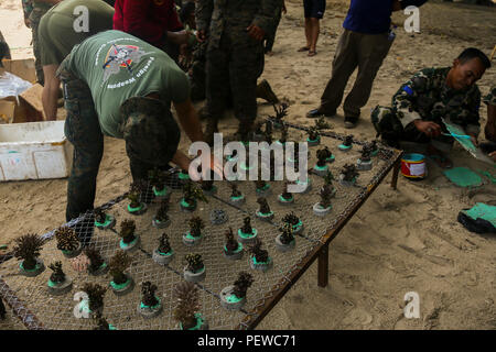 Us Marine Corps 2. Lt. Lukas Parker, ein platoon Commander mit Golf Company, 2nd Battalion, 4th Marine Regiment, misst Coral zu Zement erzeugen ein Korallenriff bei der Landung Kraft Zusammenarbeit flott Bereitschaft und Weiterbildung (LF KARAT) 2015 Bama Strand, Ost Java, Indonesien, Aug 7, 2015. LF CARAT ist dazu gedacht, zu stärken, die die Interoperabilität der amphibischen Planung und Betrieb und die zentralen Fähigkeiten zwischen den Vereinigten Staaten und den Ländern Indonesien, Malaysia und Thailand. (U.S. Marine Corps Foto von MCIPAC bekämpfen Kamera Lance Cpl. Sergio RamirezRomero/Freigegeben) Stockfoto