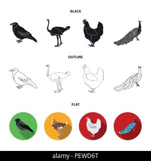 Crow, Strauß, Huhn, Pfau. Vögel stellen Sammlung Icons in Schwarz, flach, Outline style Vektor Symbol lieferbar Abbildung. Stock Vektor
