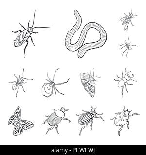 Verschiedene Arten von Insekten Umrisse Symbole im Set Sammlung für Design. Insekt gliederfüßers Vektor isometrische Symbol lieferbar Abbildung. Stock Vektor