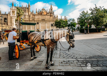 Sevilla, Spanien - 15. Juli 2018: Die Pferdekutschen auf der Plaza del Triunfo, Sevilla, Andalusien, Spanien mit Sevilla Kathedrale im Hintergrund Stockfoto