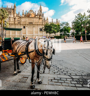 Sevilla, Spanien - 15. Juli 2018: Die Pferdekutschen auf der Plaza del Triunfo, Sevilla, Andalusien, Spanien mit Sevilla Kathedrale im Hintergrund Stockfoto