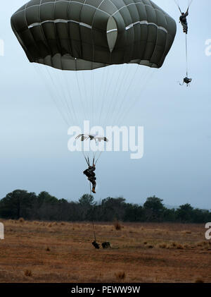 Mehr als 400 Mitarbeiter von der 82nd Airborne Division Sprung von C-17 Globemaster III, während in großen Paket Woche in Fort Bragg, N.C., Feb 4, 2016 Teilnehmenden. Das große Paket Woche ist eine Leitung bis zu gemeinsamen operativen Zugang Übung 16-5, bereitet die Armee und Luftwaffe Einheiten für den weltweiten Krisen oder Blindbewerbungen. (U.S. Air Force Foto/Senior Airman Ericka Engblom) Stockfoto