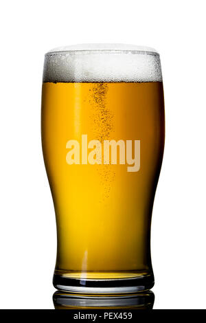 Ein erfrischendes Pint Lager vor einem weißen Hintergrund Stockfoto