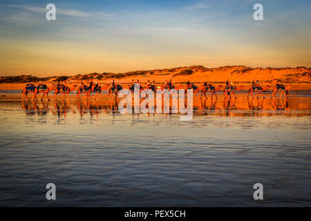 Zeile der Kamele am Strand bei Sonnenuntergang Stockfoto