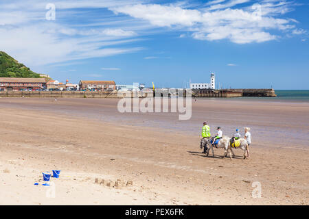 Scarborough Beach eselreiten am Strand von South Bay scarborough England yorkshire North Yorkshire England Scarborough Großbritannien gb Europa Stockfoto