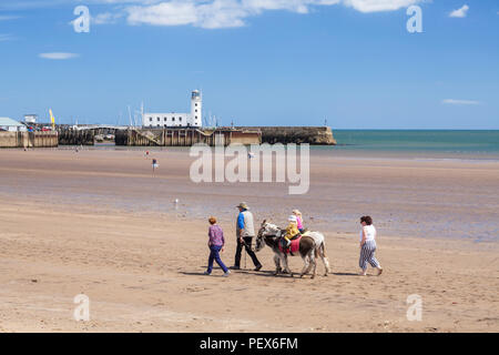 Scarborough Beach eselreiten am Strand von South Bay scarborough England yorkshire North Yorkshire England Scarborough Großbritannien gb Europa Stockfoto