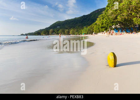Eine frische grüne Kokosnuss am Strand von Beau Vallon, Mahé, Seychellen Mit einige Touristen im Hintergrund. Stockfoto