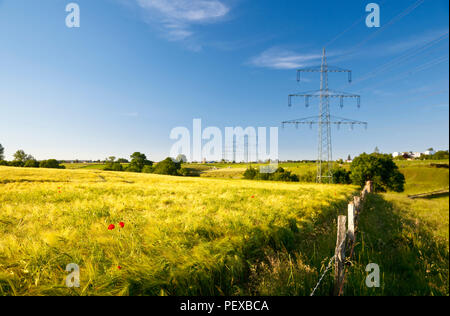 Eine Linie über grüne Felder mit Roggen und Mohnblumen in der Nähe von Aachen, Deutschland. Stockfoto