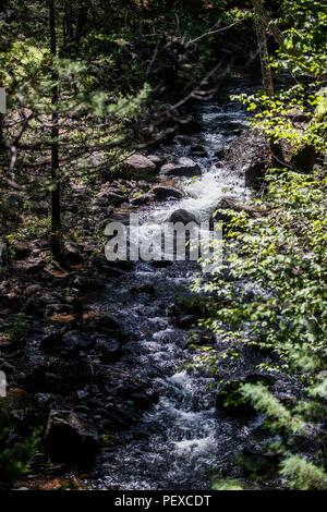 Flujo de Agua de Arroyo La Cueva de Tres Ríos, Sonora, Mexiko. Bosque. stream Wasserdurchfluss La Cueva de Tres Ríos, Sonora, Mexiko. Wald. De expedición Entdeckung Madrense GreaterGood ORG que recaba datos que Syrvaine como Información de Direct para entender mejor las Relaciones biológicas del Archipiélago Madrense y se Usan para proteger y conservar las Tierras de las Islas vírgenes Sonorenses Serranas. Binacional Expedición aye une ein colaboradores de México y Estados Unidos con Experiencias y Especialidades de las Ciencias biológicas variadas, con la intención de aprender Lo más posi Stockfoto