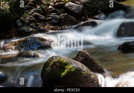 Flujo de Agua de Arroyo La Cueva de Tres Ríos, Sonora, Mexiko... Bosque. stream Wasserdurchfluss La Cueva de Tres Ríos, Sonora, Mexiko... Wald. De expedición Entdeckung Madrense GreaterGood ORG que recaba datos que Syrvaine como Información de Direct para entender mejor las Relaciones biológicas del Archipiélago Madrense y se Usan para proteger y conservar las Tierras de las Islas vírgenes Sonorenses Serranas. Binacional Expedición aye une ein colaboradores de México y Estados Unidos con Experiencias y Especialidades de las Ciencias biológicas variadas, con la intención de aprender Lo más p Stockfoto