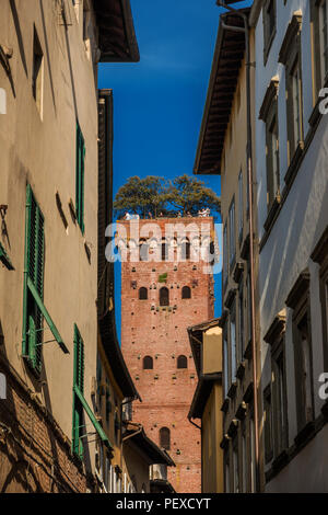 Die berühmten und charakteristischen Mittelalterlichen Guinigi Turm mit Eichen und Touristen an der Spitze, von einer schmalen Gasse in der Altstadt gesehen Stockfoto