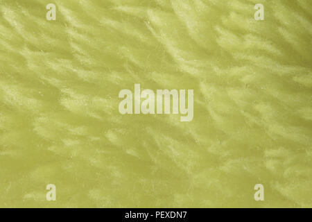 Gelb Stoff Stoff Textur oder Hintergrund Stockfoto
