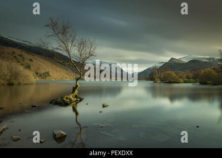 Lynn padarn, snowdonia, im wunderschönen Snowdonia National Park in Llanberis gelegen, nahm dieses Bild auf einem kalten November Morgen Stockfoto