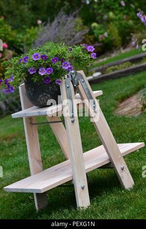 Violett calibrachoa Millionen Glocken auf der Leiter im Garten Stockfoto
