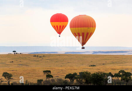 Zwei bunte orange und gelb Heißluftballons im Flug über die Savanne in den frühen Morgen auf eine Ballonfahrt im Morgengrauen, Masai Mara, Kenia Stockfoto