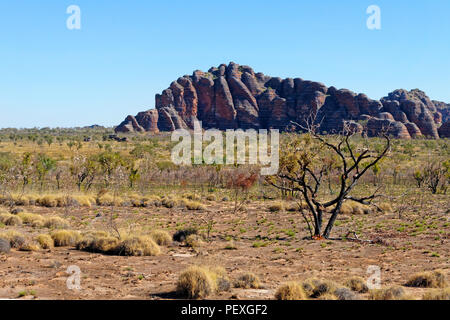 Sandstein Felsformationen, Purnululu National Park, Kimberley, Nordwesten Australien Stockfoto