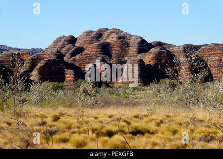 Sandstein Felsformationen, Purnululu National Park, Kimberley, Nordwesten Australien Stockfoto