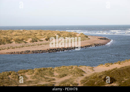 Mündung des Ythan Flussmündung bei Newburgh Strand Stockfoto